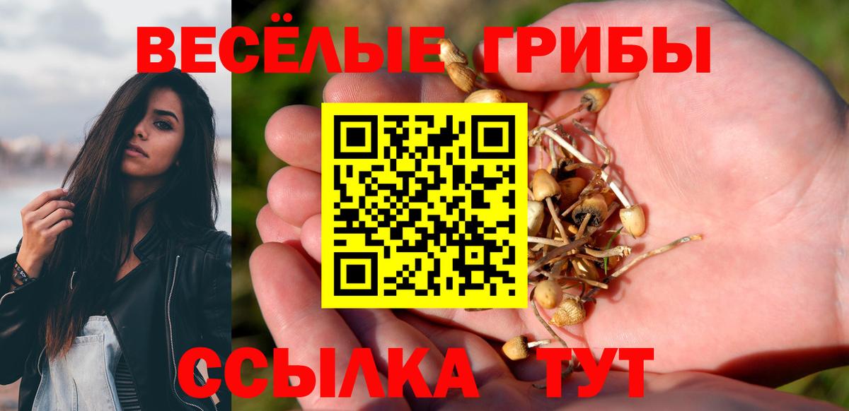 Галлюциногенные грибы GOLDEN TEACHER  Вход с VPN  Киров 
