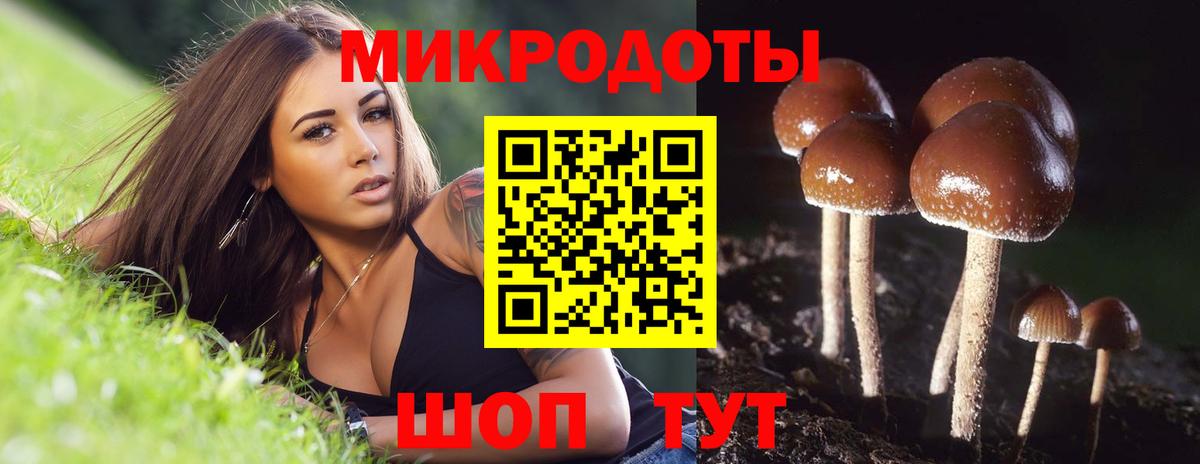 Псилоцибиновые грибы мицелий Киров
